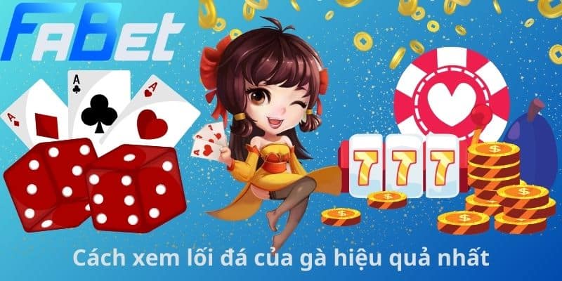 Cách xem lối đá của gà hiệu quả nhất