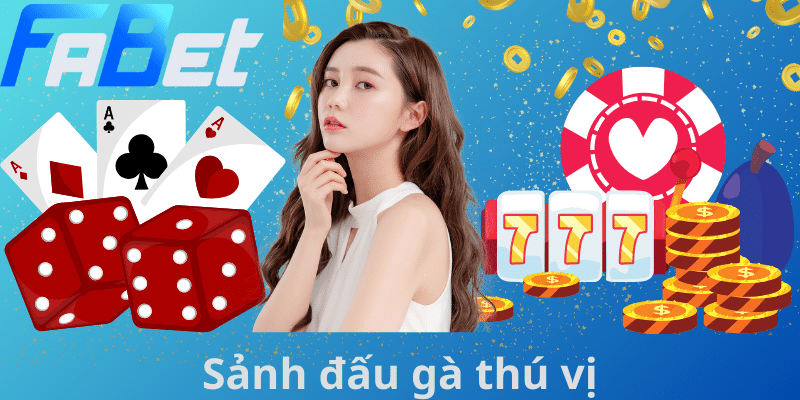 Sảnh đấu gà thú vị