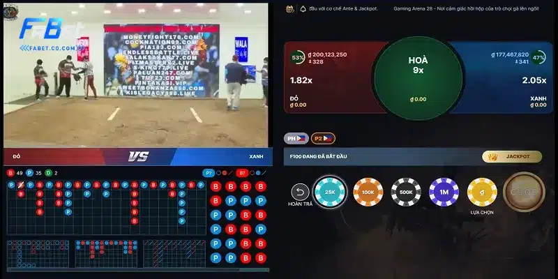 Tổng quan về cược đá gà C1